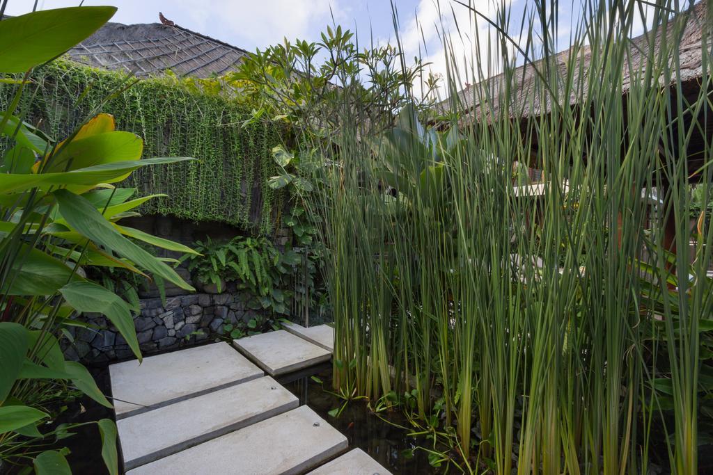 Villa Suar Drupadi เซมินยัค ภายนอก รูปภาพ